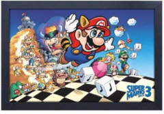 Framed - Super Mario Bros 3